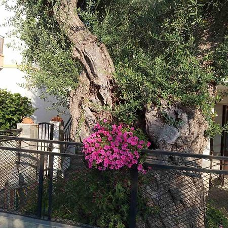 Skála KallirákhisAegean Balcony别墅 外观 照片
