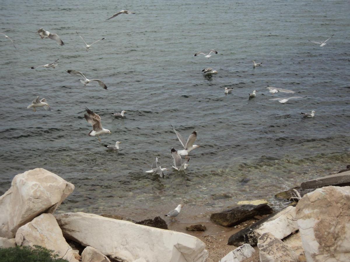 Skála KallirákhisAegean Balcony别墅 外观 照片