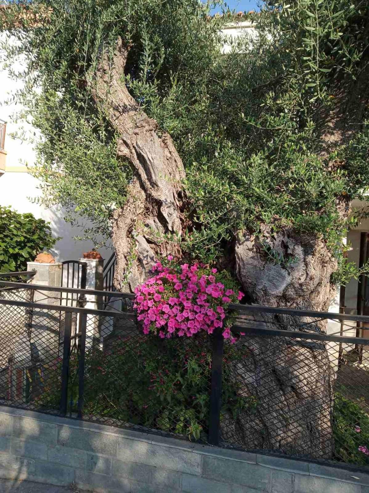 Skála KallirákhisAegean Balcony别墅 外观 照片